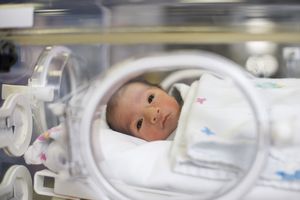 NICU婴儿