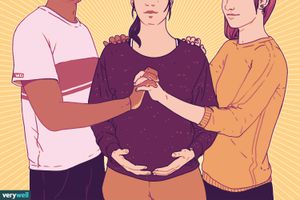 gestational surrogacy legalization illo