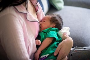 母乳喂养的父母喂养他们的婴儿