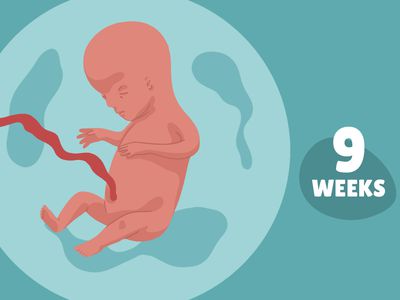 Pregnancy Week by Week: Week 9