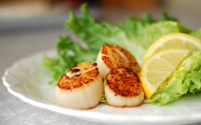 Scallops on a dinner plate