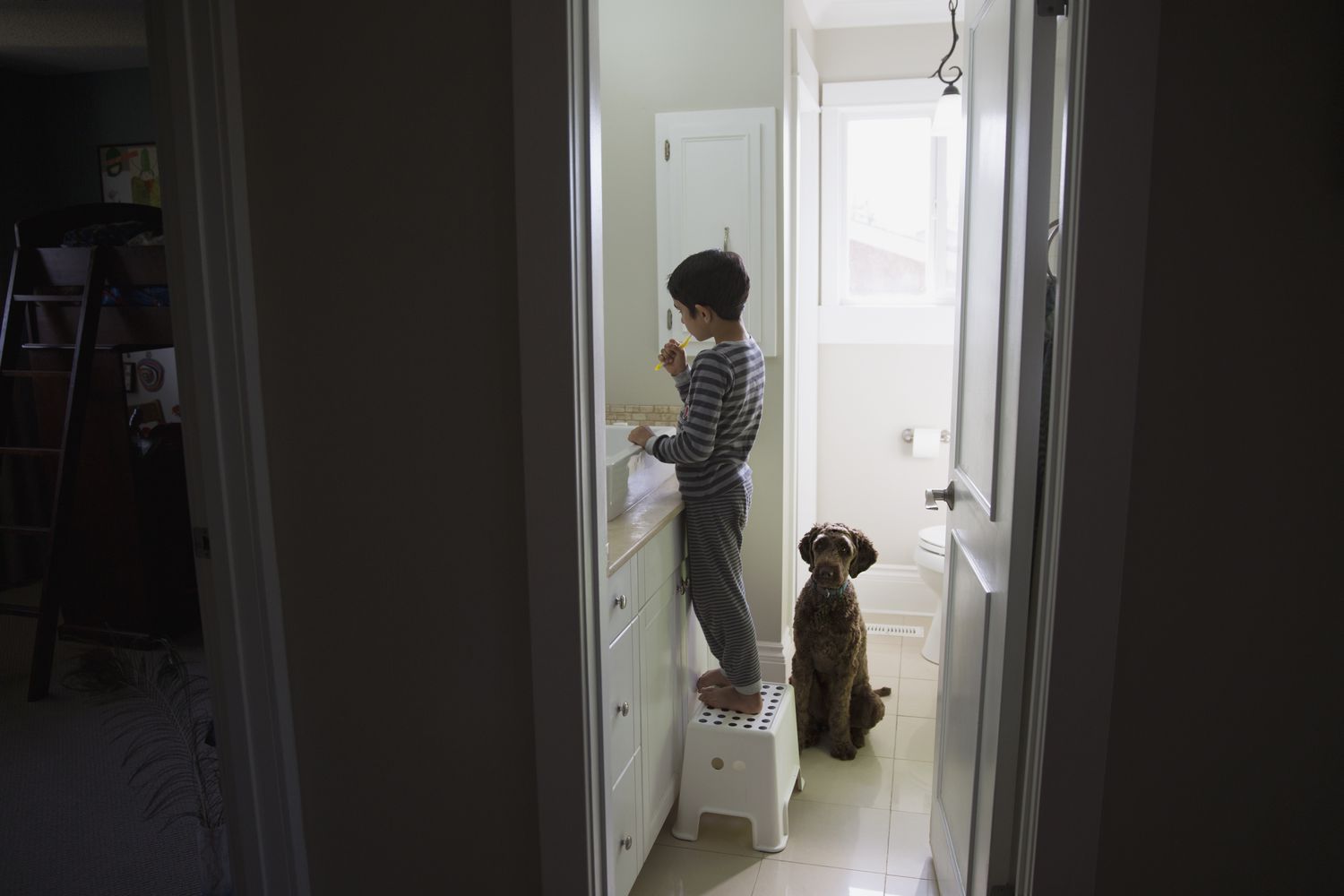 Dog sitting in a bathroom next to a boy brushing his teeth