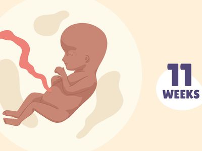 Pregnancy Week by Week: Week 11