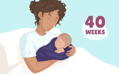 Pregnancy Week by Week: Week 40