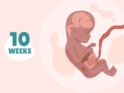 Pregnancy Week by Week: Week 10