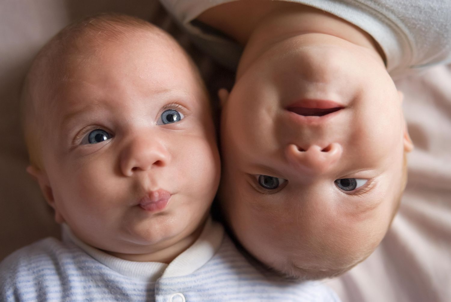Identical twin baby boys facing opposite directions with their heads together