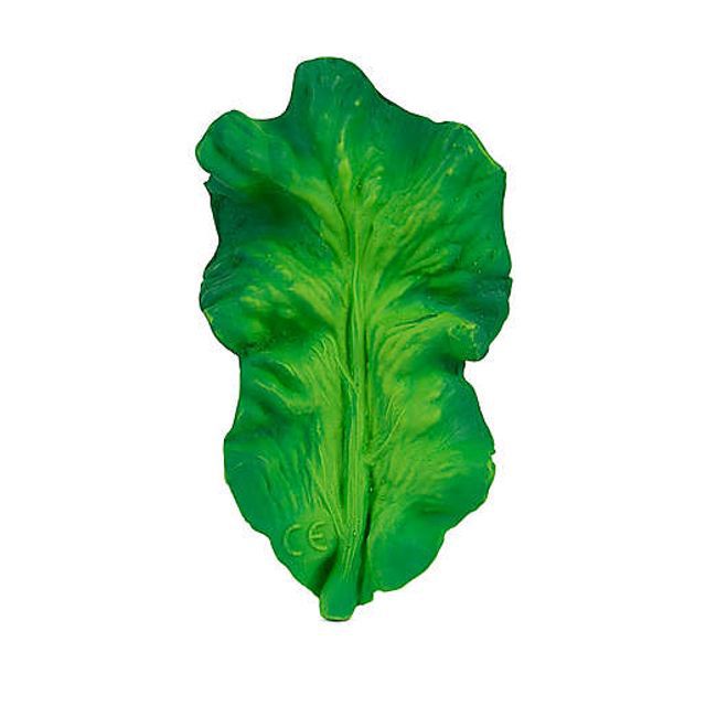 Oil & Carol Kendall the Kale Teether