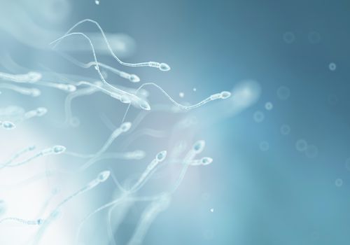 Human sperm, artwork