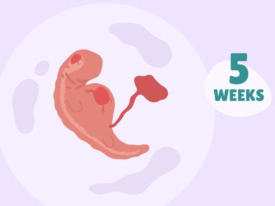 Pregnancy Week by Week: Week 5