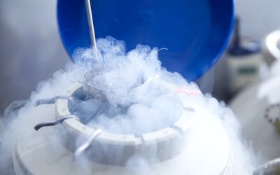 Cryopreservation chamber for eggs and embryos after IVF