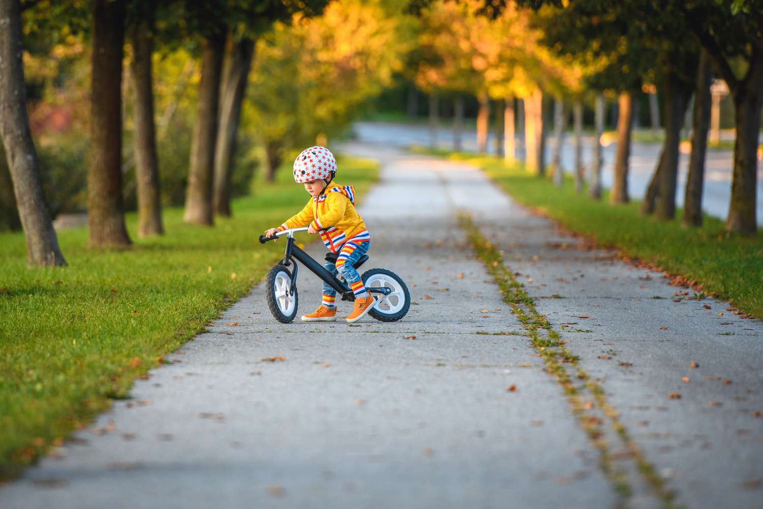 young child on a balance bike
