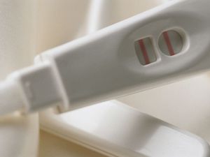 妊娠试验阳性华体会体育官方人口