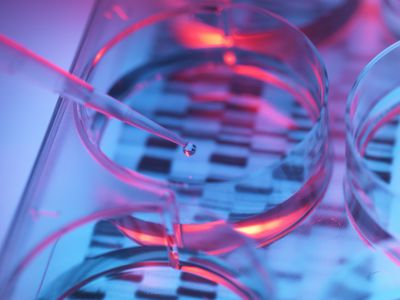 Pipetting sample into tray for genetic karyotyping testing