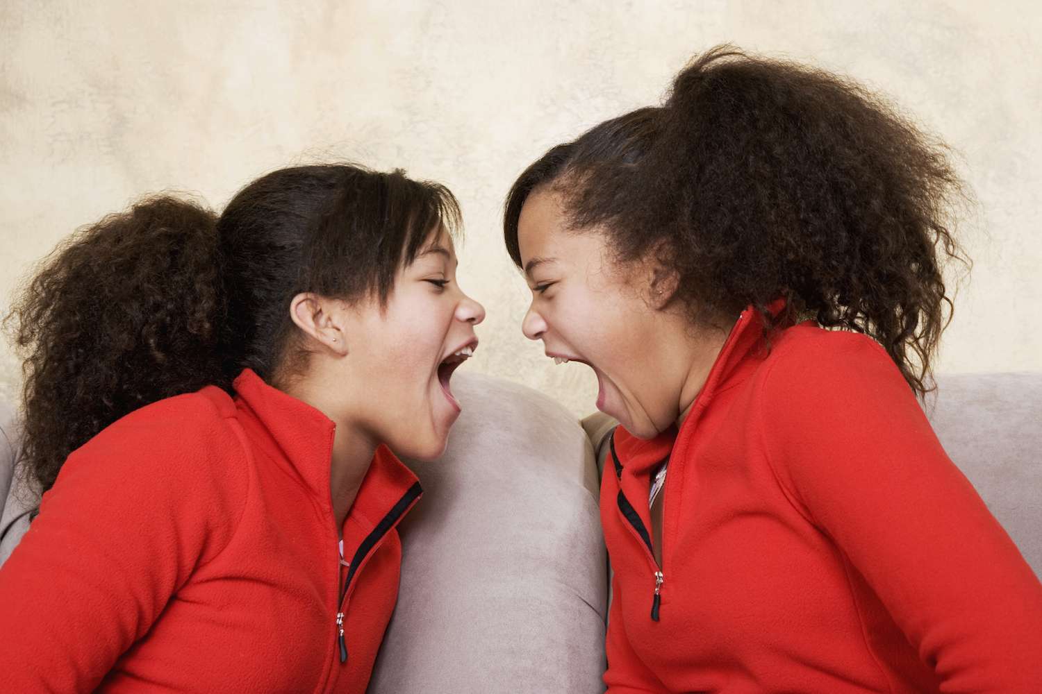 Twin Sibling Rivalry