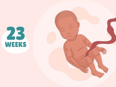 Pregnancy Week by Week: Week 23
