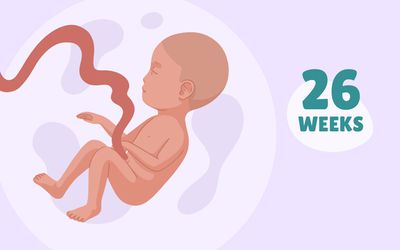 华体会体育官方人口怀孕周:第26周