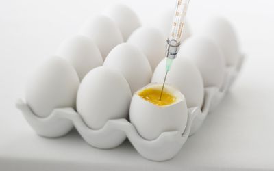 将生育药物注入卵子的注射器