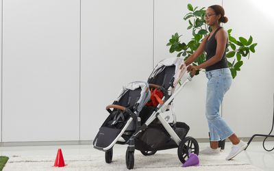 知更鸟vs uppababy vista v2