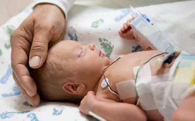 Parent touching head of a premature baby in incubator