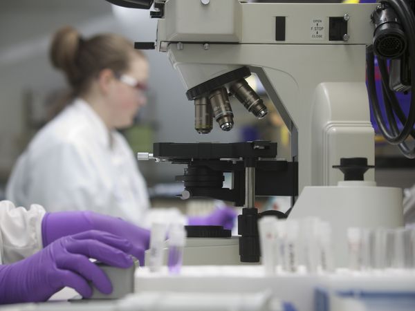 科学家在实验室分析样品