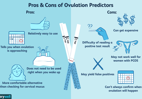 Pros and cons of ovulation predictors