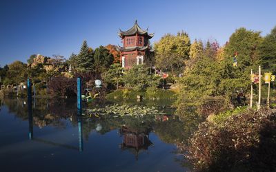 秋天的中国园林，蒙特利尔