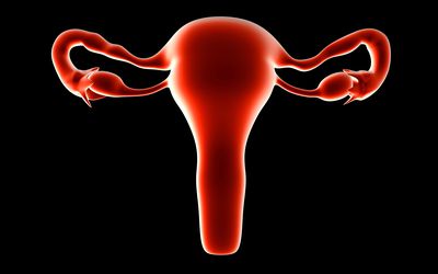 normal shaped uterus