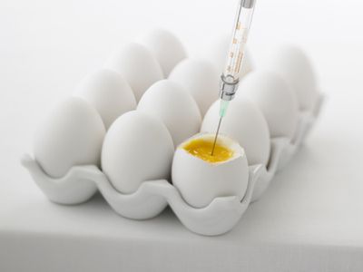 Syringe injecting fertility drugs into an egg