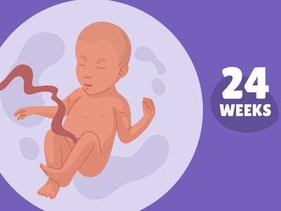 Pregnancy Week by Week: Week 24