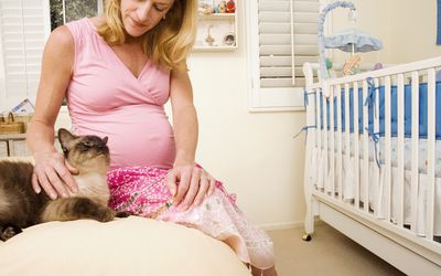 Pregnant woman petting cat