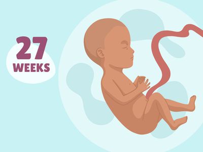 Pregnancy Week by Week: Week 27