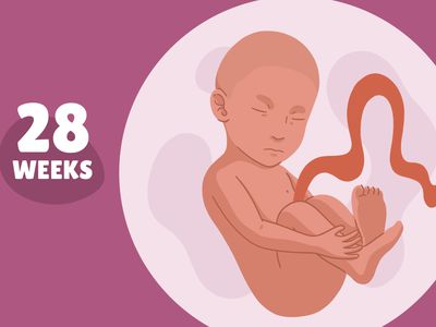 Pregnancy Week by Week: Week 28