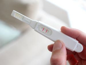 华体会体育官方人口妊娠检查