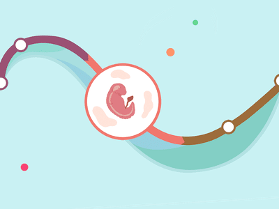 Verywell Family Pregnancy Week by Week Journey