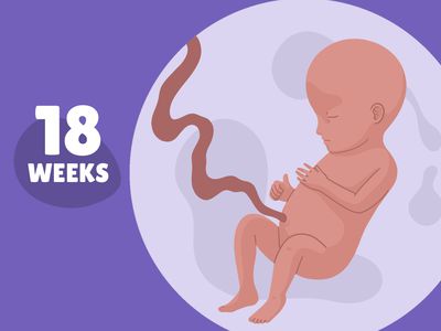 Pregnancy Week by Week: Week 18