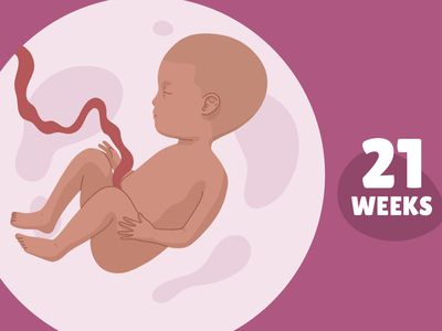 Pregnancy Week by Week: Week 21