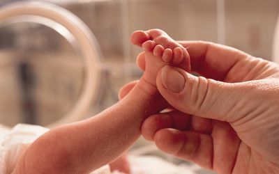 An adult holding a premature baby's foot