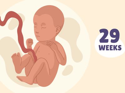 Pregnancy Week by Week: Week 29