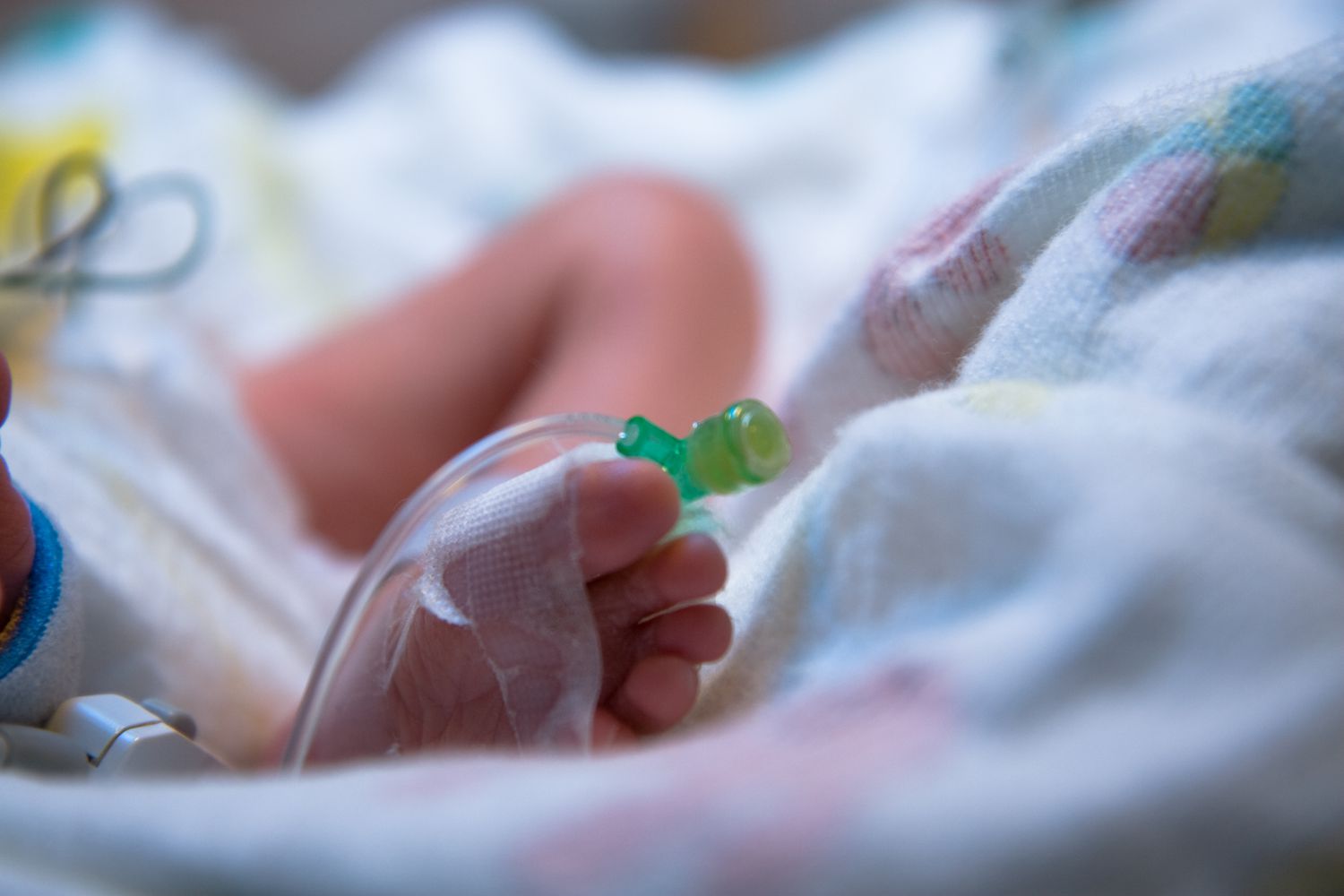 IV Antibiotic drip Newborn