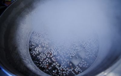 Vials of donor sperm frozen by liquid nitrogen in a holding tank at the California Cryobank