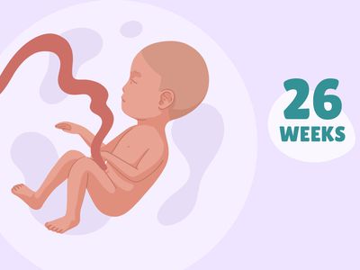 Pregnancy Week by Week: Week 26
