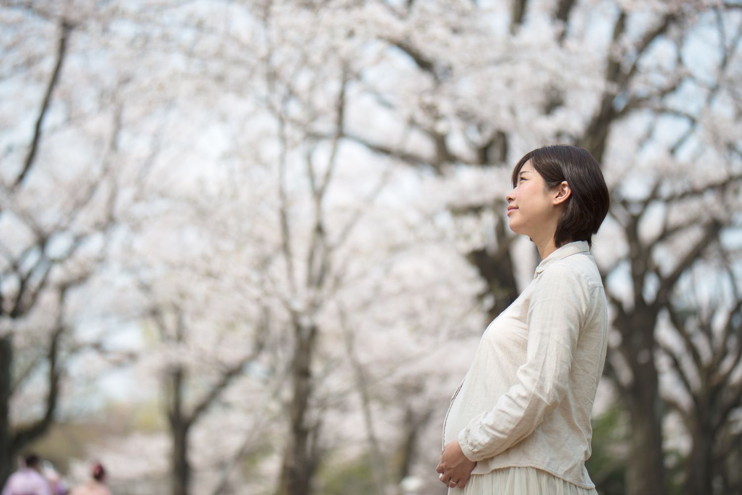 一位孕妇在樱花树下