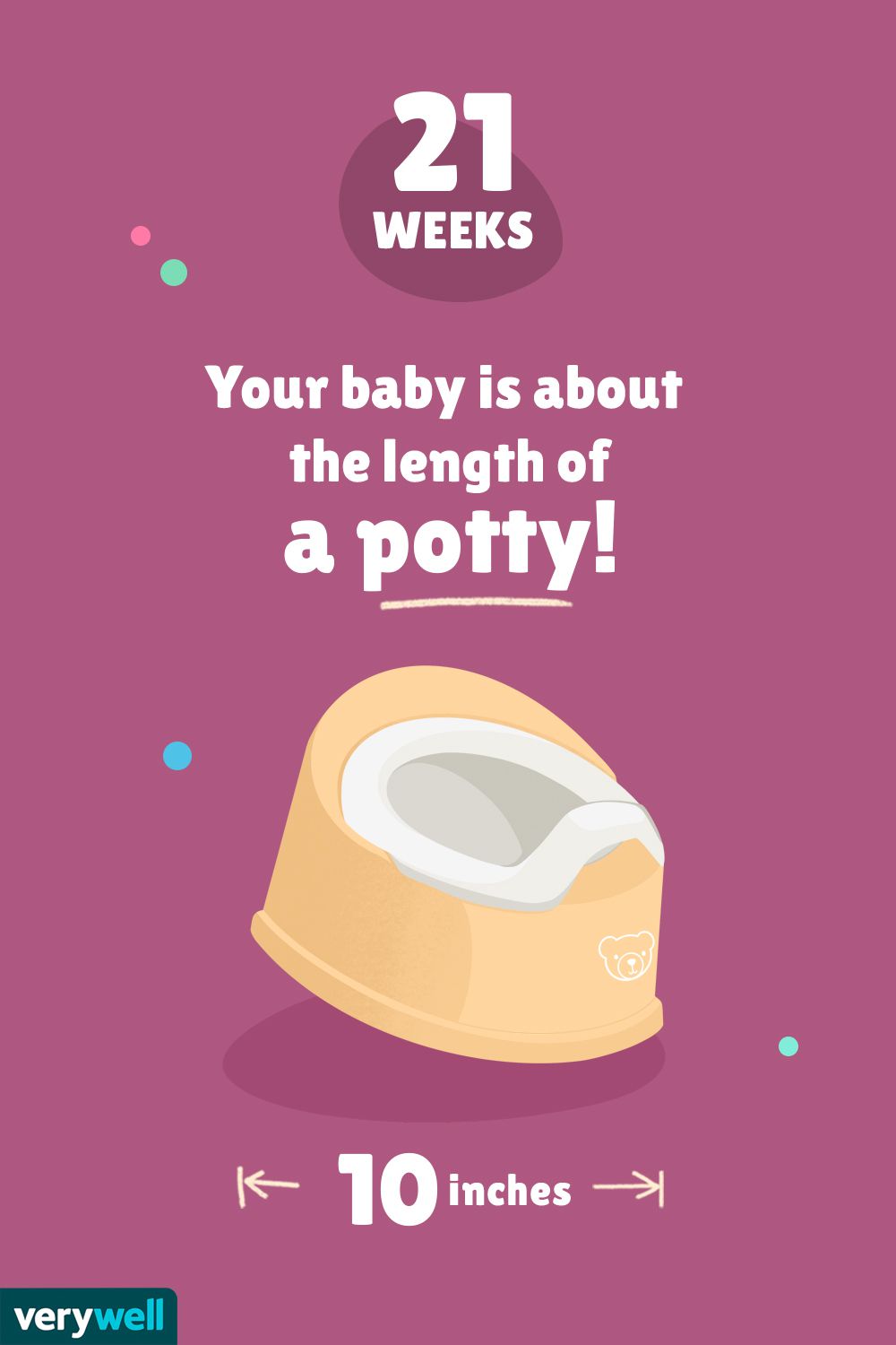 At 21 weeks pregnant, your baby is about the length of a potty