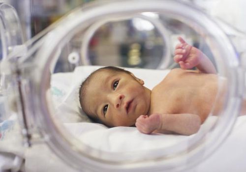 Preemie Baby in incubator looking at camera, sense of sight