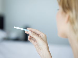 妇女拿着验孕棒，裁剪华体会体育官方人口