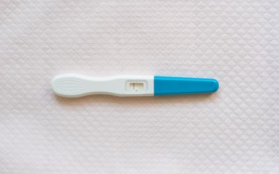 妊娠试验阴性华体会体育官方人口