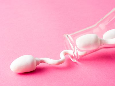 Sperm world