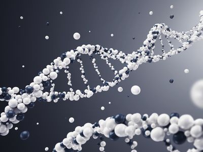 由深色背景的球体构成的DNA