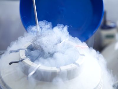 cryogenic (frozen) storage for eggs frozen via vitrification